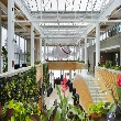 Royal Botanical Gardens