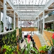 Royal Botanical Gardens