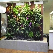TRCA