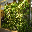 TRCA