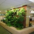 TRCA