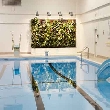 W.G. Johnson Pool