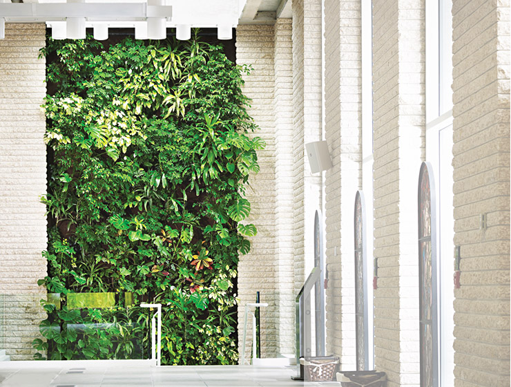 Saint Gabriel's Parish living wall
